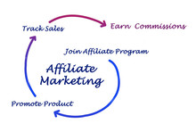 web traffic website